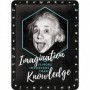 Placa de metal 15x20 cms. Celebrities Einstein -