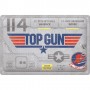 Placa de metal 20x30 cms. Top Gun - Aircraft Metal